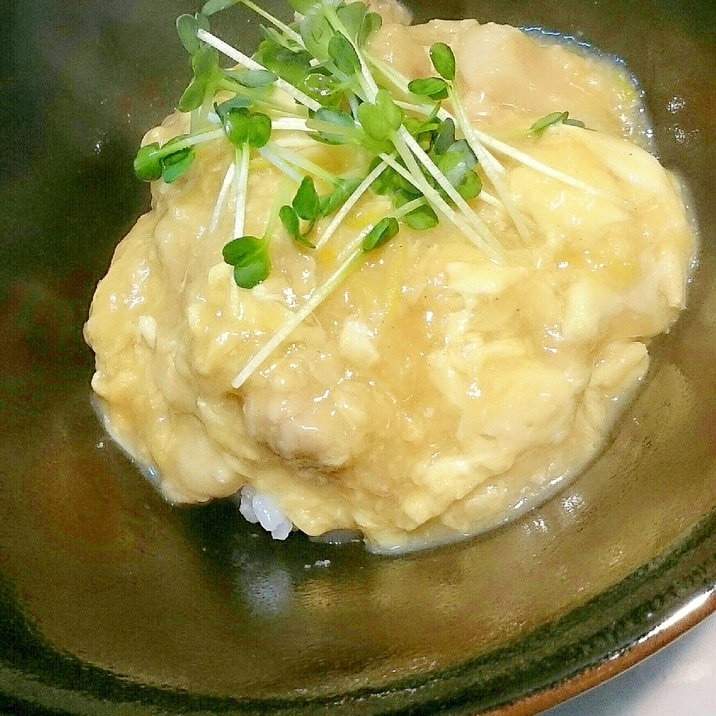 卵が少なくても出来る親子丼